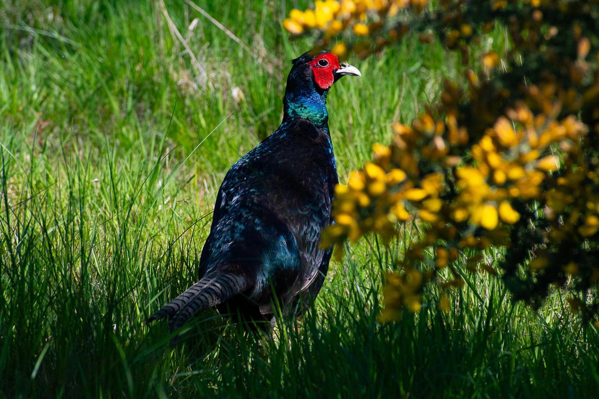 فندق Peppercorn Pod At Beck House Glamping Salmonby المظهر الخارجي الصورة